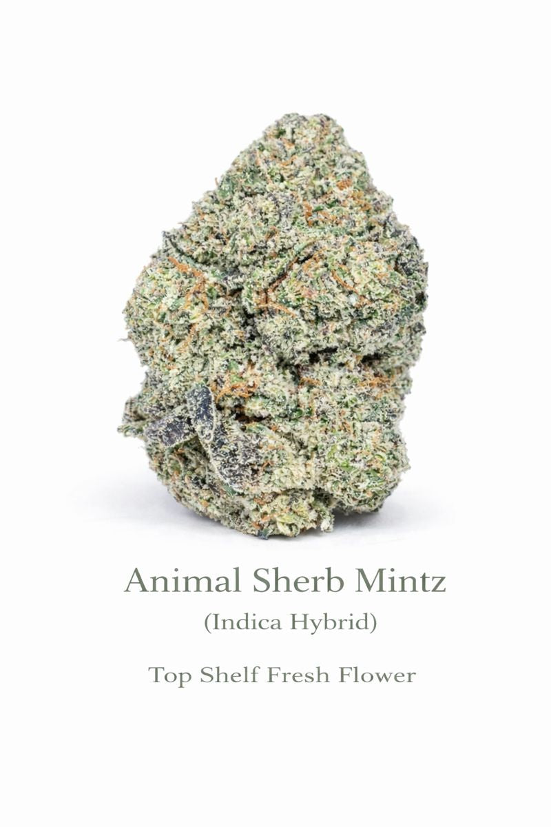 Animal Sherb Mintz (Indica Hybrid) - Top Shelf Fresh Flower