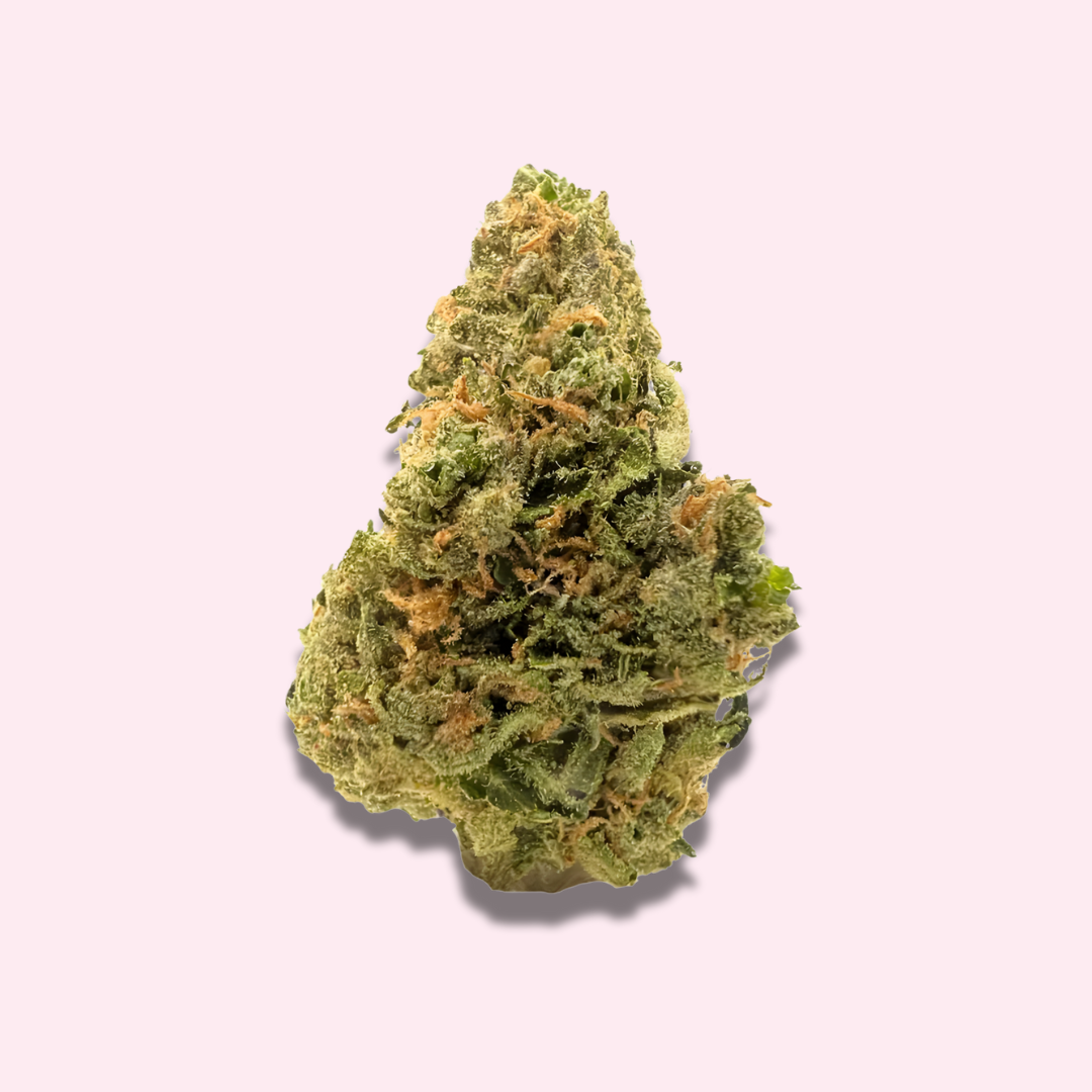 Blue Dream - Premium Green House Fresh Flower