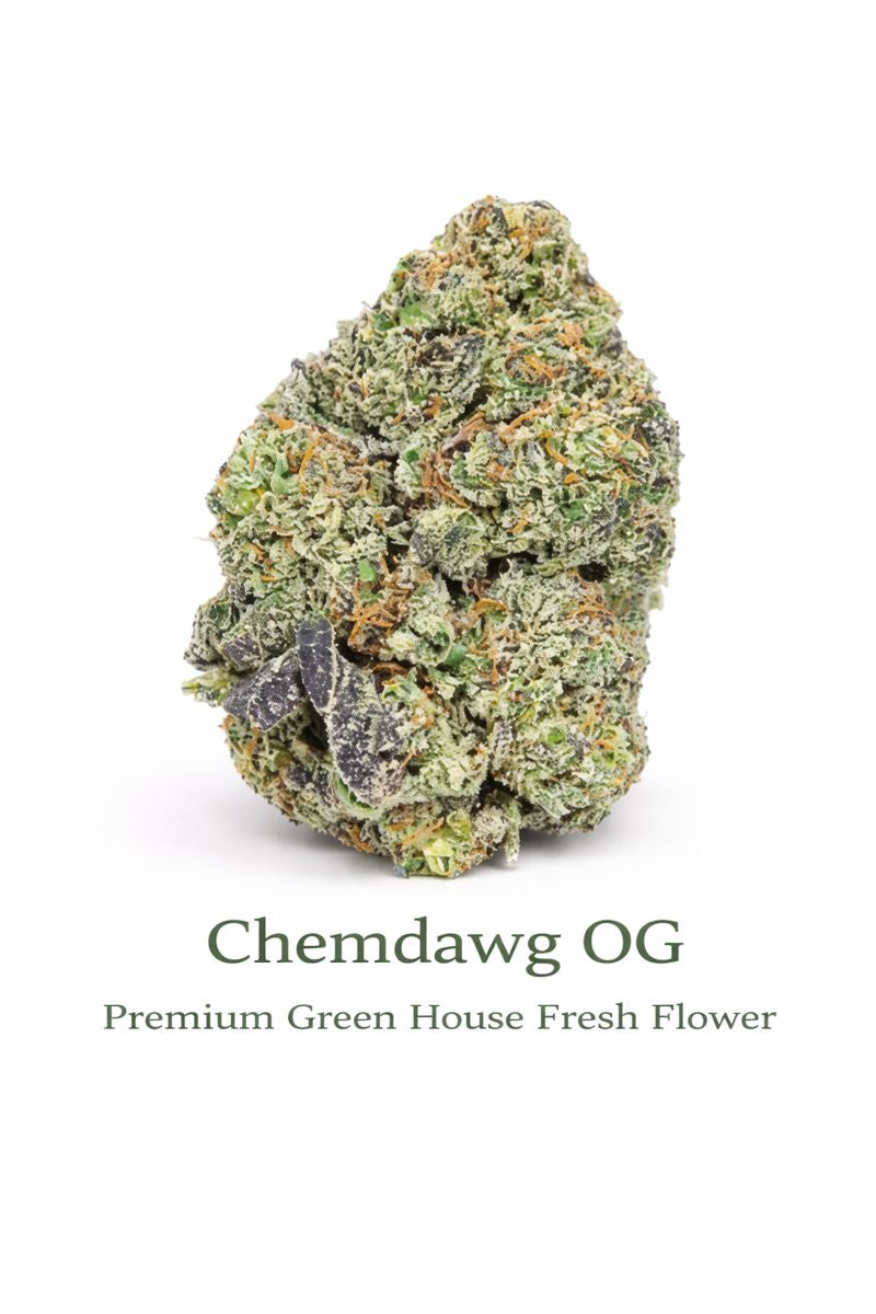 Chemdawg OG - Premium Green House Fresh Flower