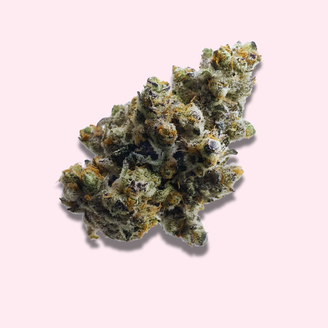 Chimera - Exotic Fresh Flower