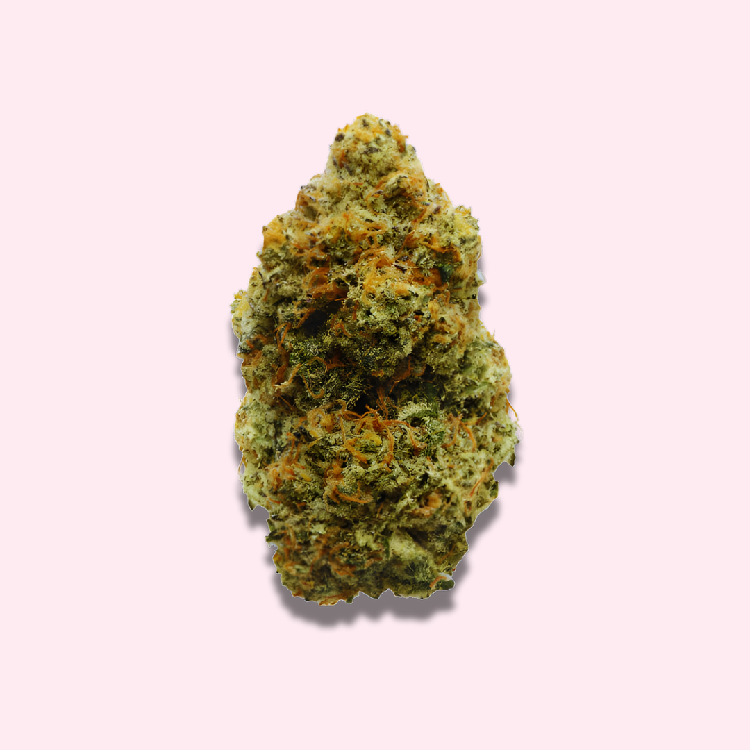 Hawaiian Snowcone - Exotic Fresh Flower