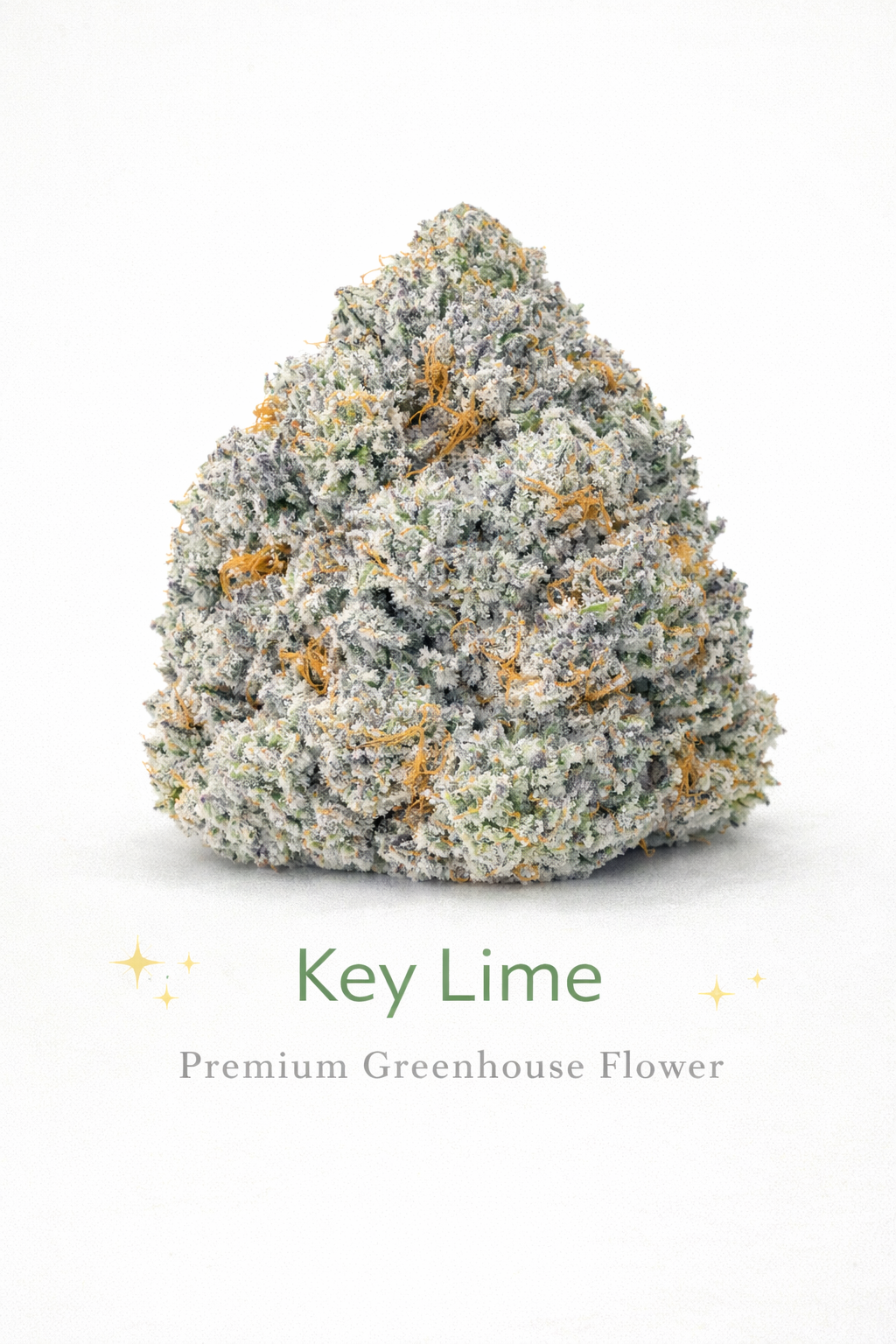 Key Lime Jack - Premium Greenhouse Flower