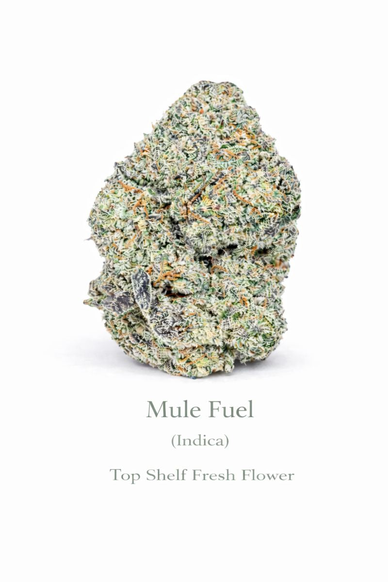 Mule Fuel - Top Shelf Fresh Flower