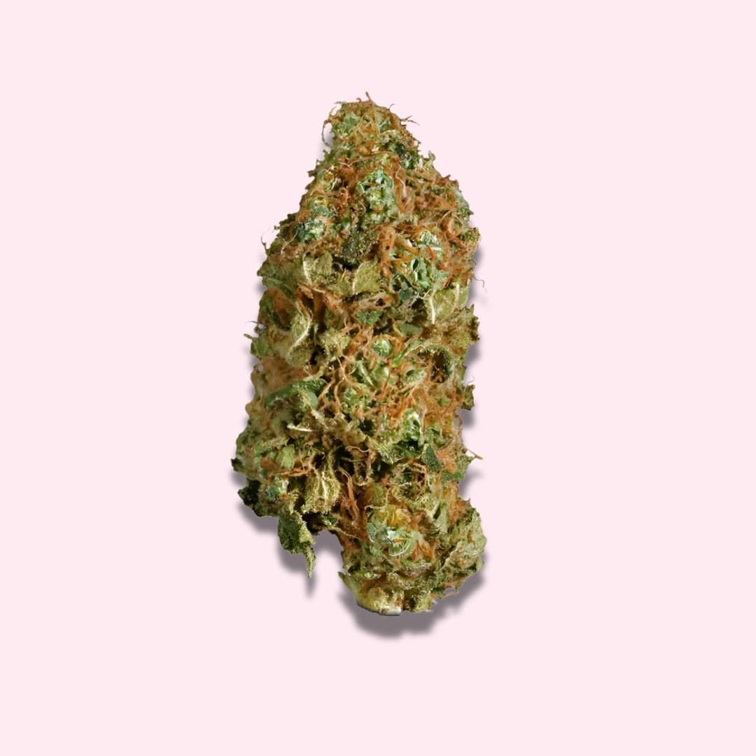 Super Jack - Exotic Fresh Flower