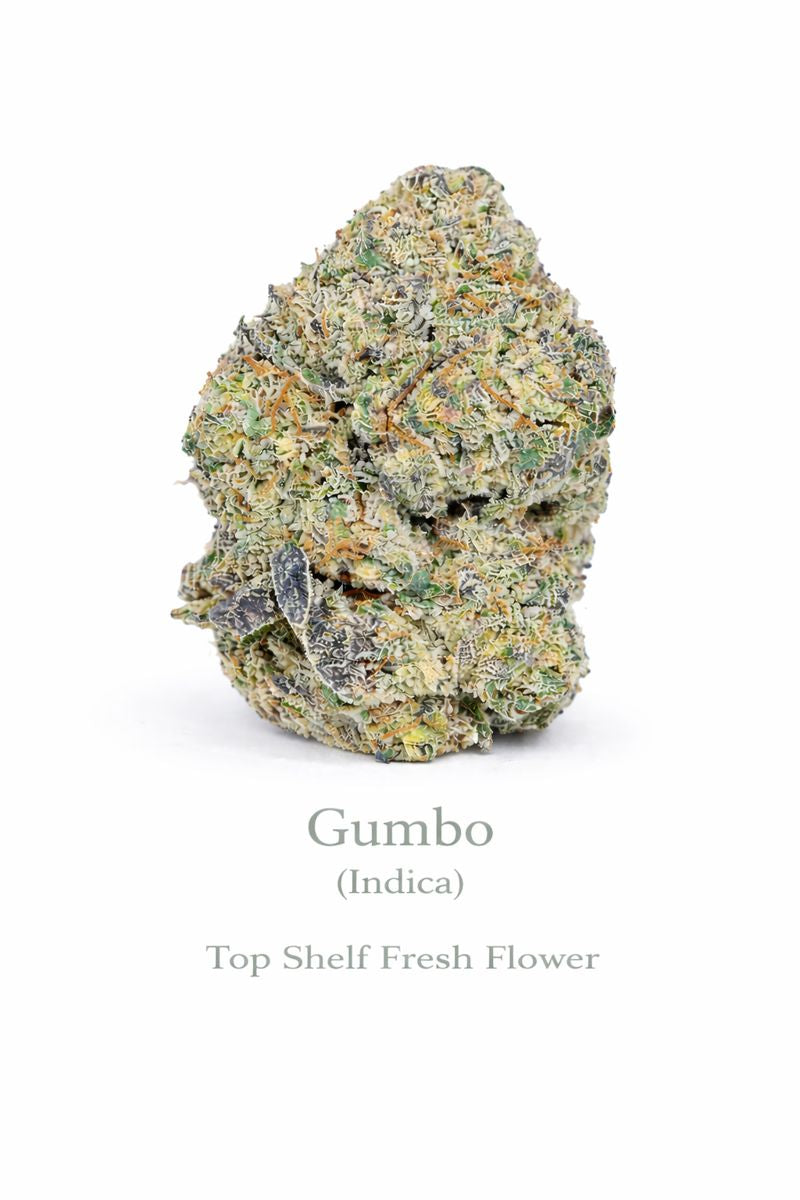 Gumbo (Indica) - Top Shelf Fresh Flower