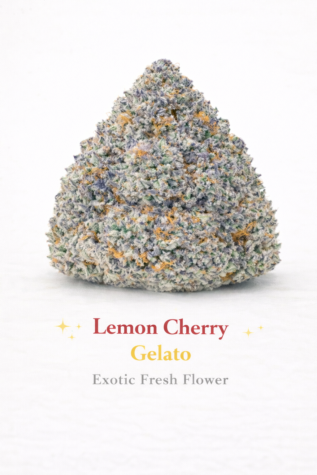 Lemon Cherry Gelato - Exotic Fresh Flower