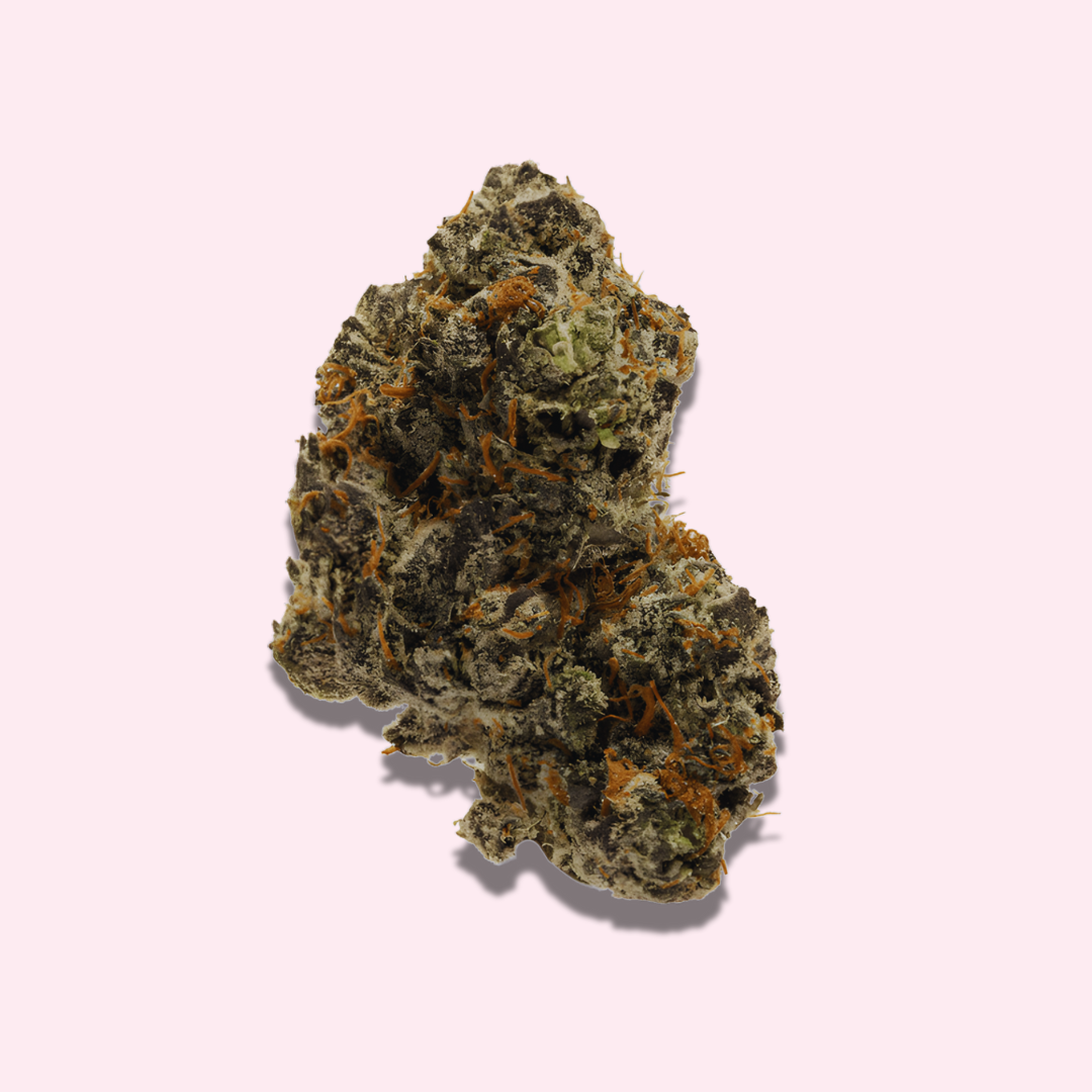 Lemon Cherry Swirl (Hybrid) - Exotic Fresh Flower